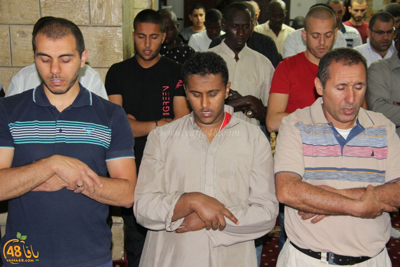 trawe7 salahsaj (32).jpg